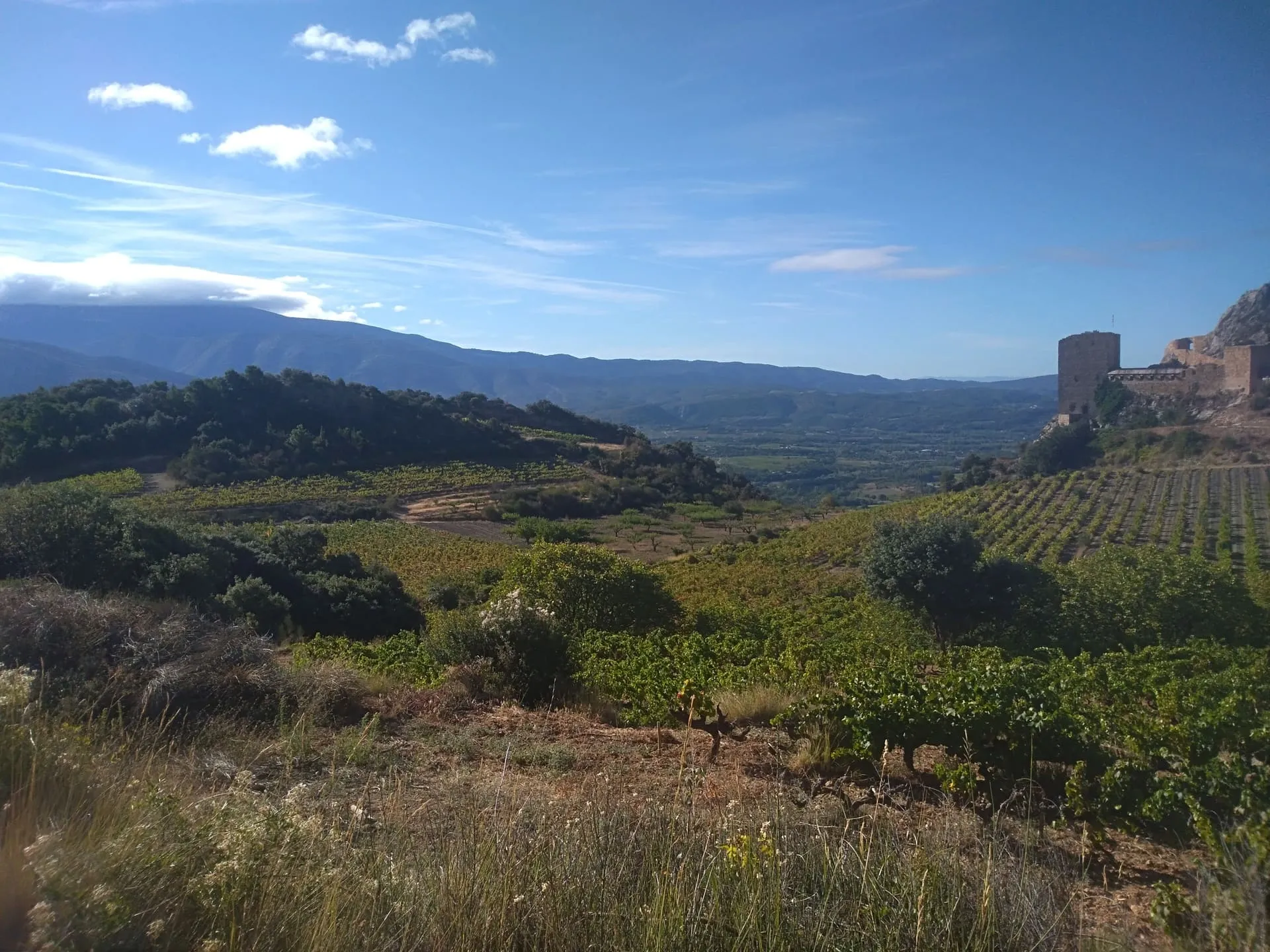 Vignoble clos des cimes